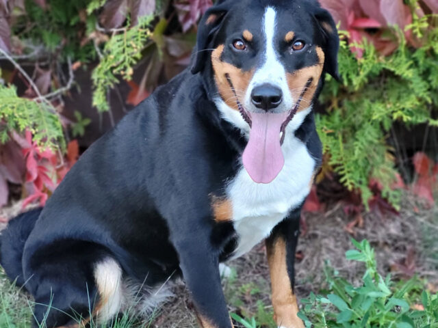 Die Jahreszeiten mit meinen Mädels